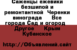 Саженцы ежевики безшипой и ремонтантной. Черенки винограда . - Все города Сад и огород » Другое   . Крым,Кубанское